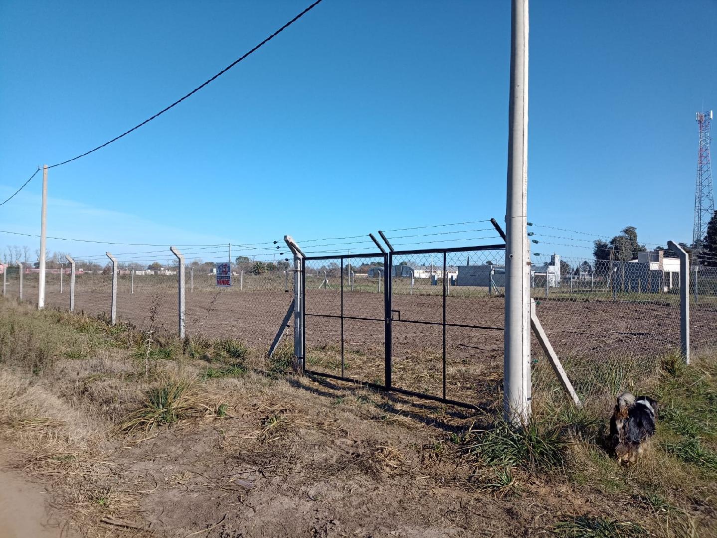 LOTE DE 21 x 31 MTS., CON ALAMBRADO OLIMPICO, ZONA CASAS QUINTAS